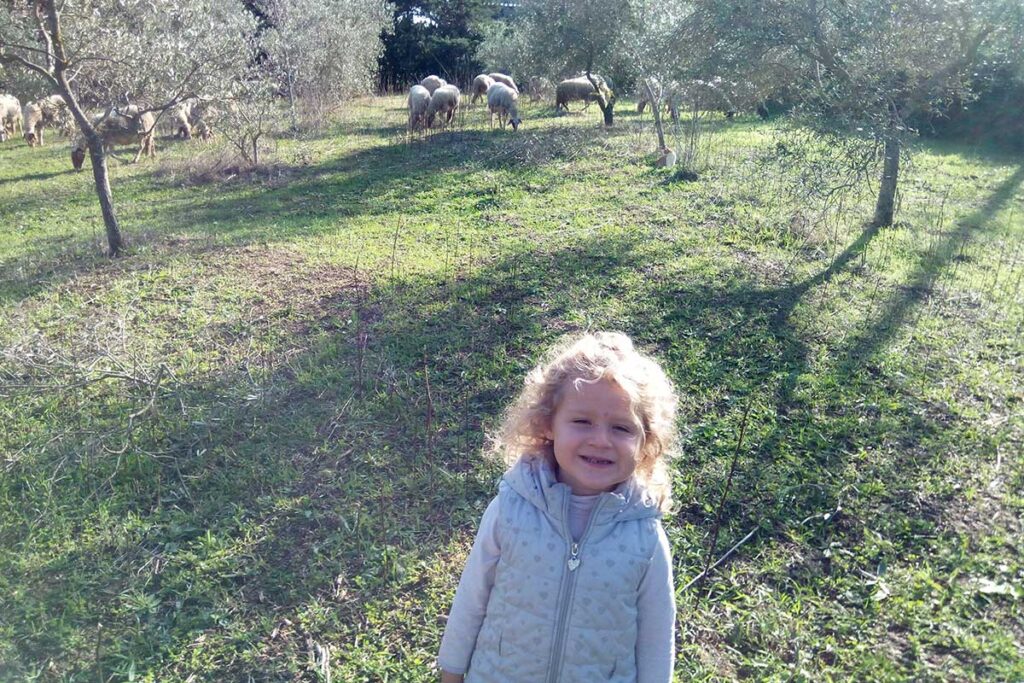 Adotta una pecora