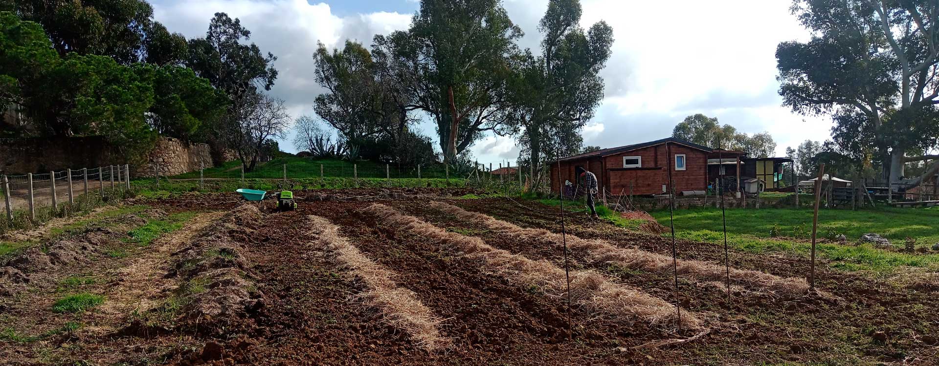 Azienda Agricola